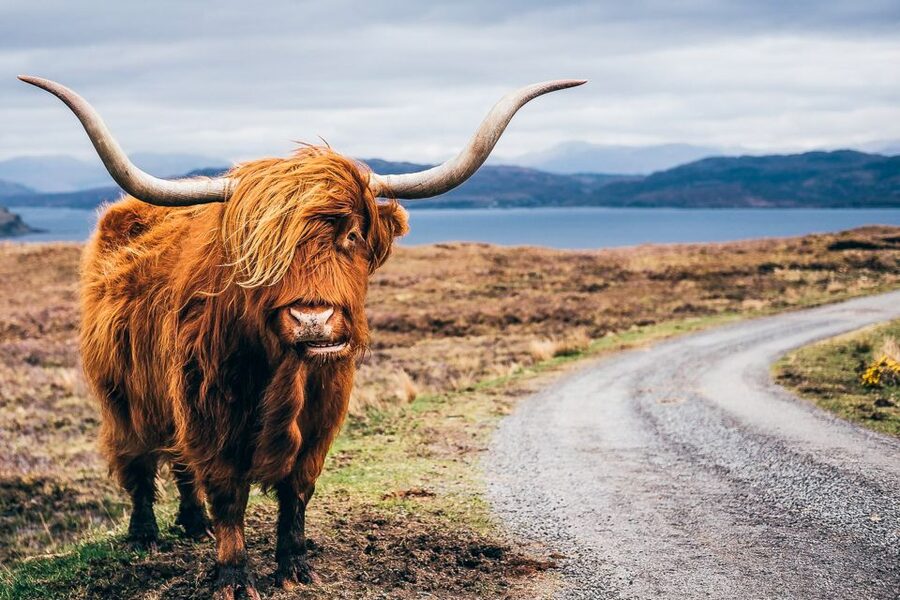 Edinburgh: 3-Day Isle of Skye, Highlands, and Loch Ness Tour - Why this three-day Skye tour works so well