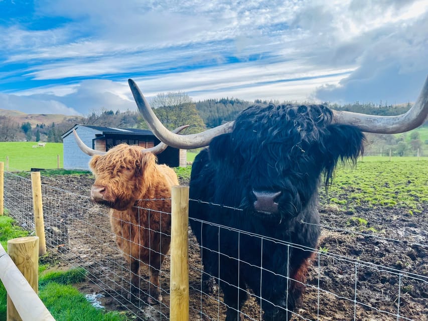 Edinburgh: Glenfinnan Viaduct, Glencoe & Fort William - What the $60 price really buys you