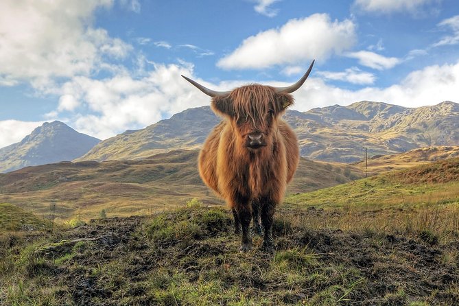 Edinburgh: Loch Lomond, Stirling Castle and the Kelpies Day Tour - Loch Lomond gives you two different choices
