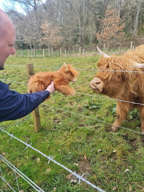 Edinburgh: Loch Ness, Glencoe, Coos & the Highlands Day Tour - Glencoe brings the history into focus