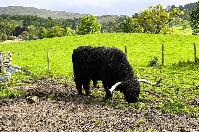 Edinburgh: Loch Ness, Glencoe & The Highlands - Fort Augustus is your Loch Ness choice point