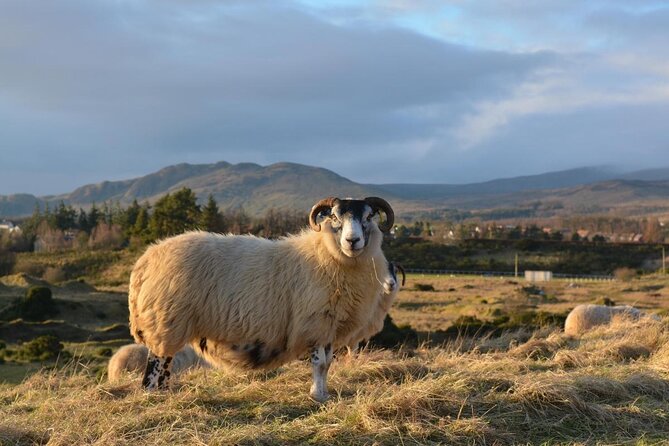 Edinburgh: Loch Ness, Inverness & The Highlands - 2 Day Tour - Key points at a glance