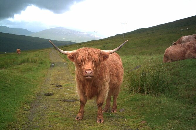 Edinburgh: Private Loch Ness Glencoe and The Highlands Tour - Glencoe and Rannoch Moor: the first major photo stop