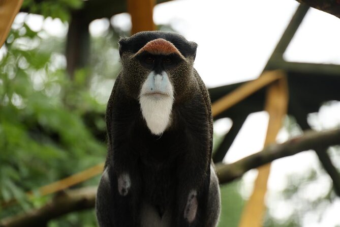 Entry ticket to Hoo Zoo and Dinosaur World in Telford - Feeding talks give the day its structure