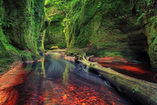 Find a hidden Glen in Scotland's woods - Key points to know before booking