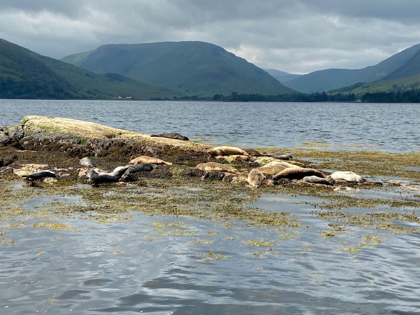 Fort William: Seal Spotting Loch Linnhe Cruise - Commentary, Crew, and the Feel Onboard