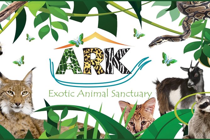 Fox Encounter for 2 people and park entry - What Happens During the 30-Minute Session