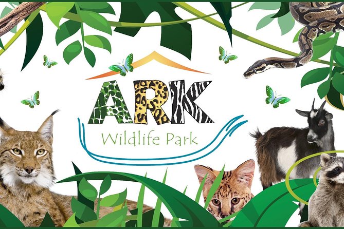 Fox Encounter for 2 people and park entry - Why the Private Format Changes the Experience