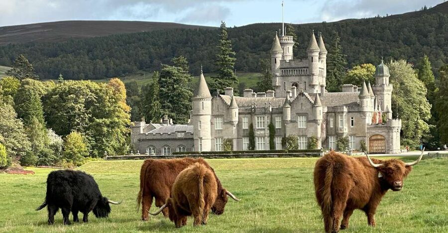 From Aberdeen: Balmoral Estate & Royal Deeside Tour - The Queen’s View near Tarland