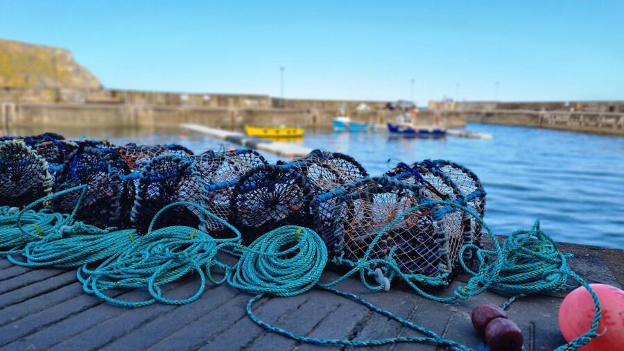 From Aberdeen: Coastal Villages of Aberdeenshire Tour - Cruden Bay and the final stretch