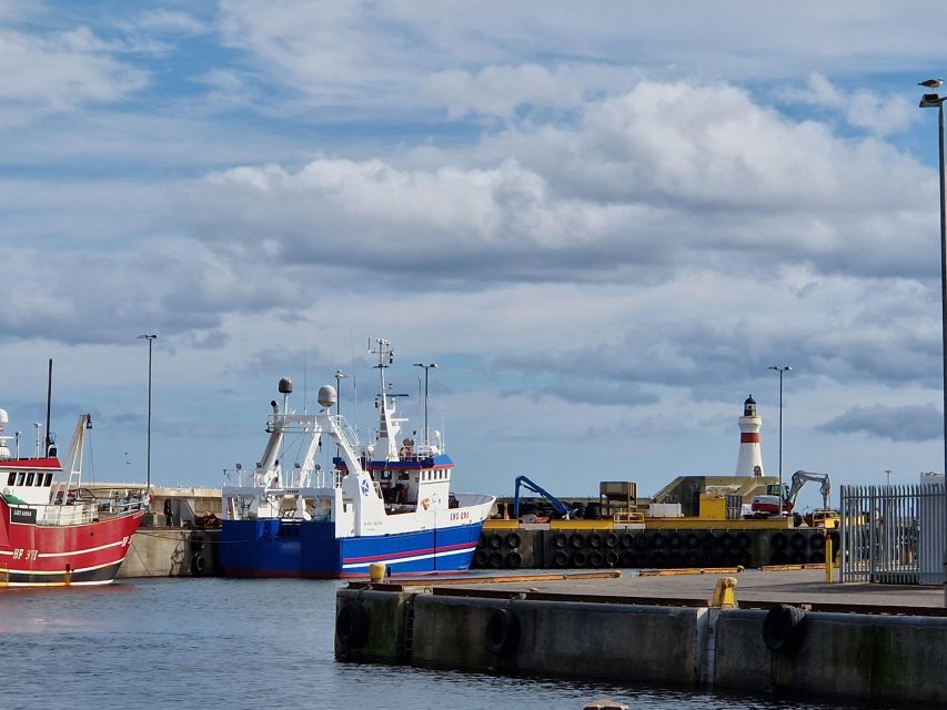 From Aberdeen: Coastal Villages of Aberdeenshire Tour - Newburgh Seal Beach and wildlife expectations