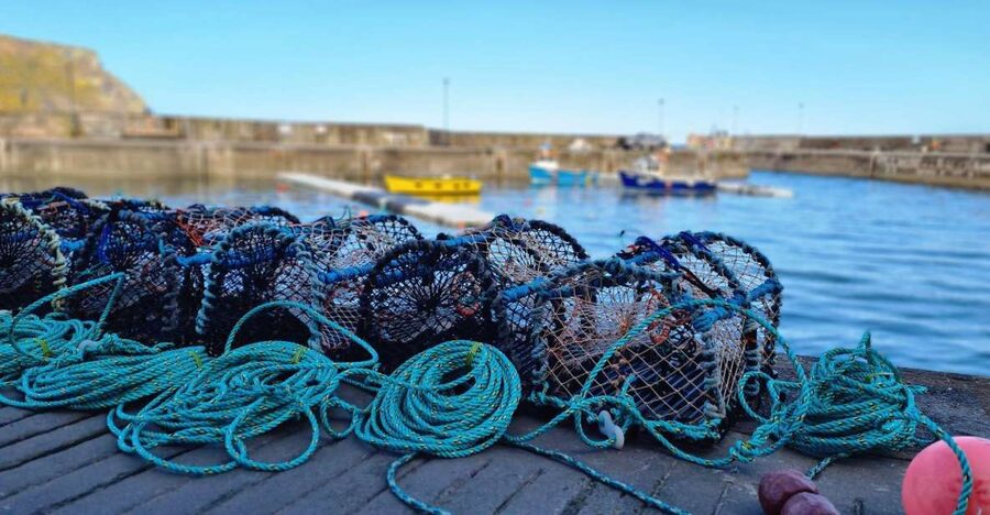 From Aberdeen: Coastal Villages of Aberdeenshire Tour - Gardenstown and Crovie: the strongest village stop