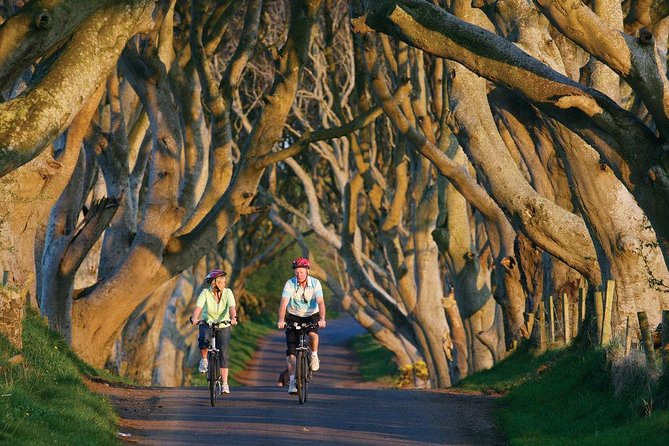 From Belfast-Giants Causeway, Dunluce Castle and Dark Hedges tour - Food, bathrooms, and the compact schedule