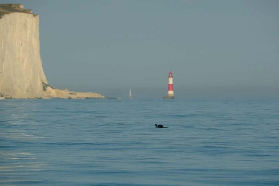 From Brighton: Seven Sisters Boat Tour - Who will enjoy this boat trip most?