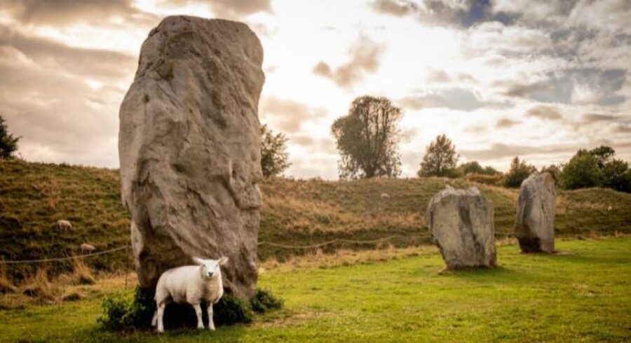 From Bristol: Stonehenge and Cotswold Villages Day Tour - Booking details worth knowing