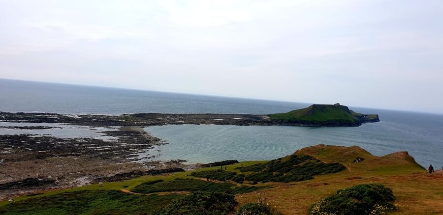 From Cardiff: Mumbles and Gower Peninsular Tour - Lunch, facilities, and the day’s practical rhythm