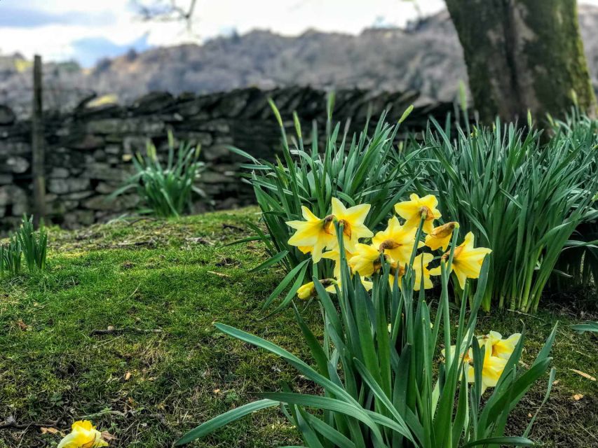 From Chester: Lake District Full-Day Guided Sightseeing Tour - Cruising Windermere toward Ambleside