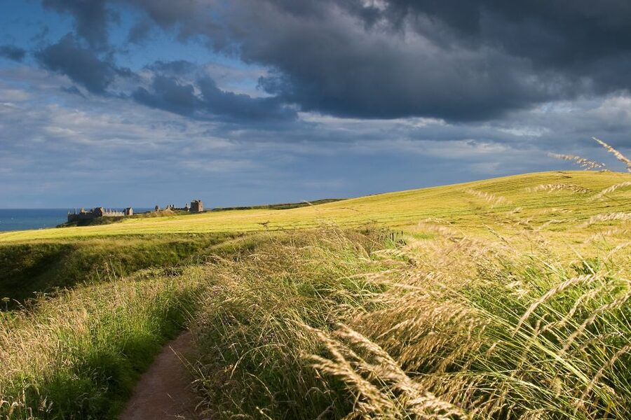 From Edinburgh: Glamis and Dunnottar Castles Tour in Italian - Dunnottar Castle and the long road from Edinburgh