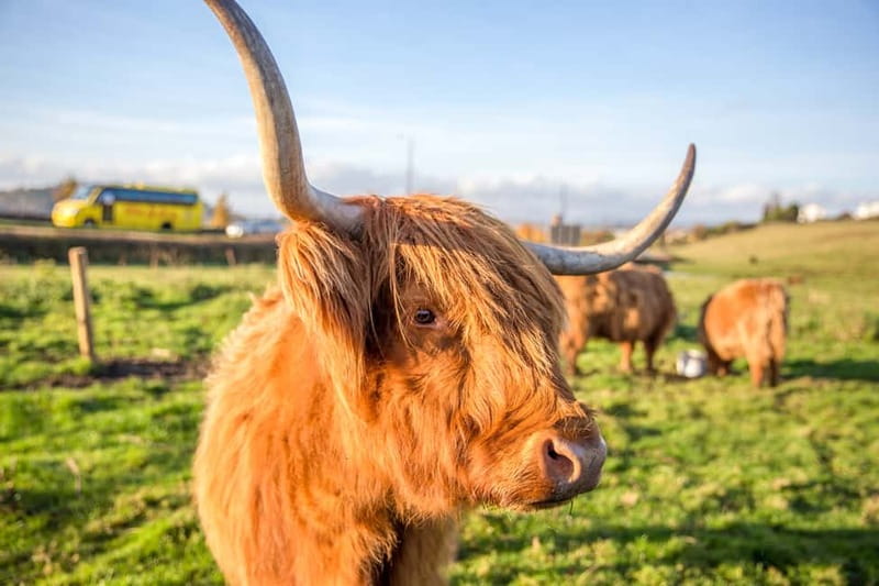From Edinburgh: Isle of Skye & Highlands 3-Day Guided Tour - Eilean Donan Castle and Loch Ness