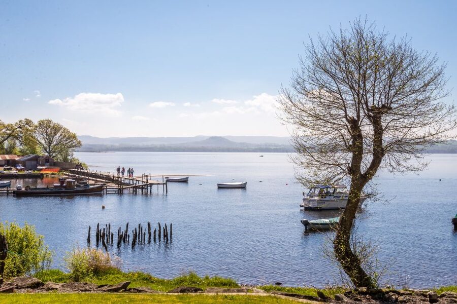 From Edinburgh: Loch Lomond, Kelpies & Stirling Castle Tour - The guide can make or break the day