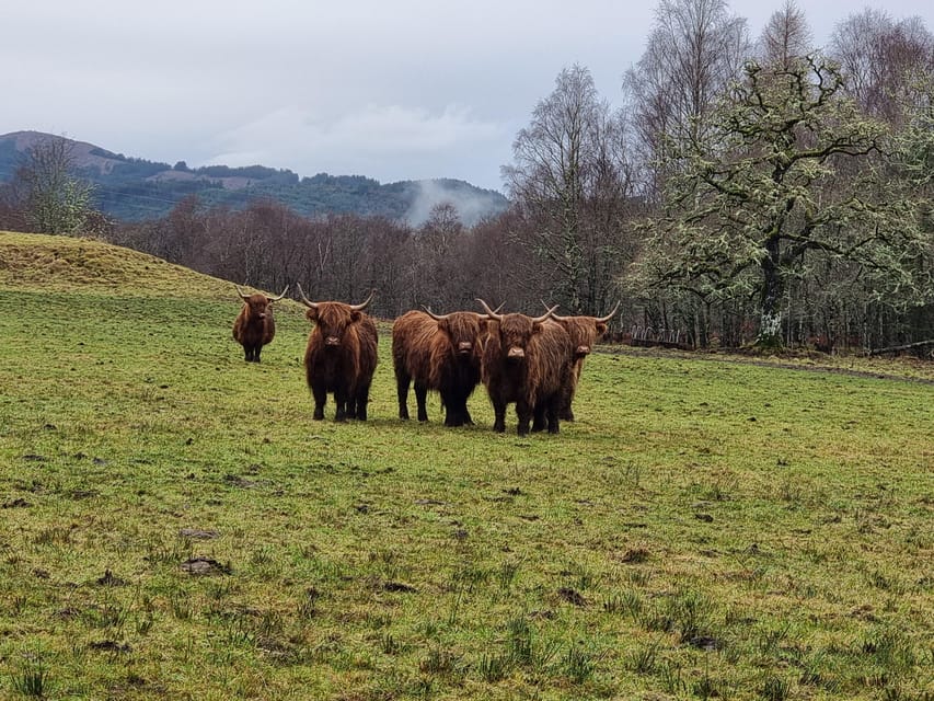 From Edinburgh: Loch Ness Private Day Tour with Transfers - Loch Lubnaig gives you an early taste of the Highlands