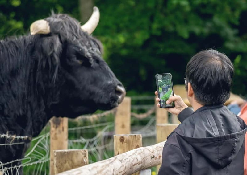 From Edinburgh: Stirling Castle, Kelpies and Loch Lomond - Why this route works for a first taste of Scotland