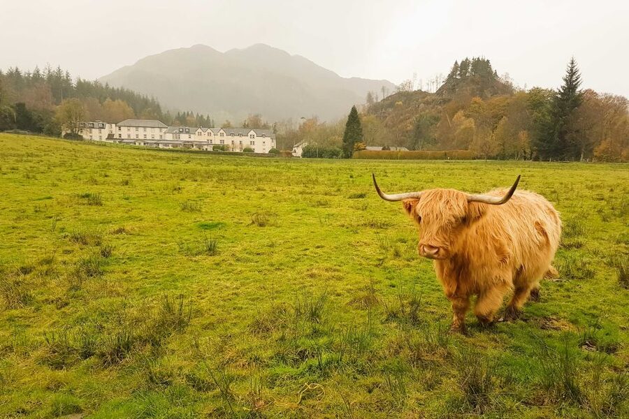From Glasgow: Loch Lomond, Trossachs & Stirling Castle Tour - Stirling Castle, the grand finish