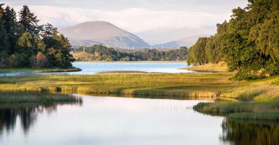 From Inverness: Cairngorms National Park and Whisky Tour - Key points to know before booking