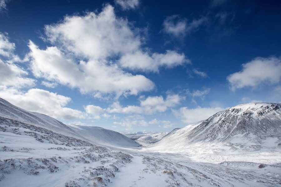 From Inverness: Cairngorms National Park and Whisky Tour - What this Cairngorms day trip does well