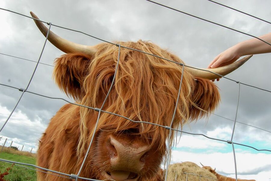 From Inverness: Isle of Skye and Fairy Pools Day Trip - Achnasheen breaks up the long return