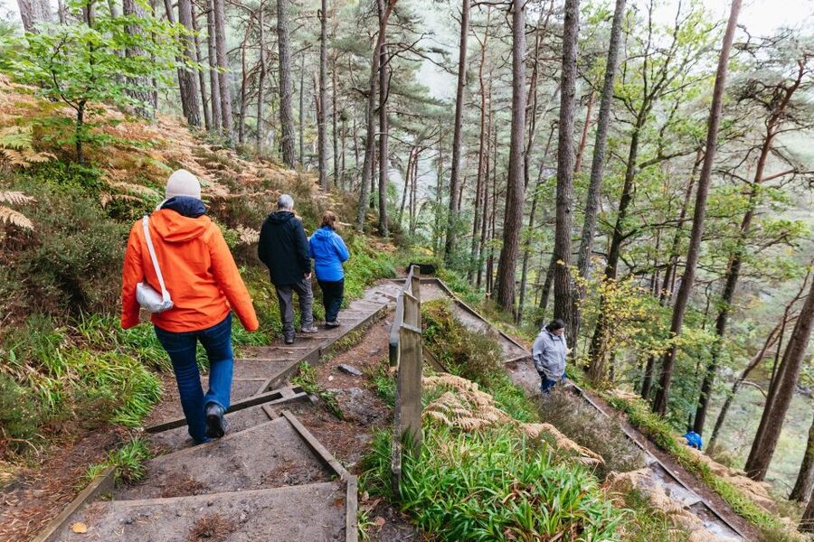 From Inverness: Loch Ness Guided Day Trip - Key points at a glance