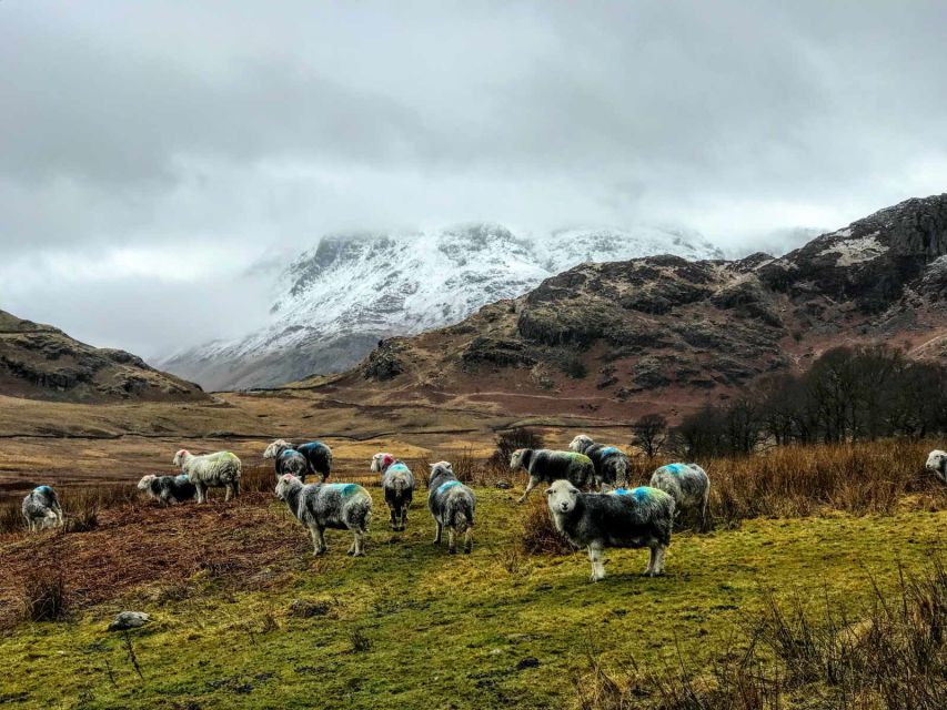 From Liverpool: Lake District Sightseeing Adventure Day Trip - Little Langdale and Great Langdale by road