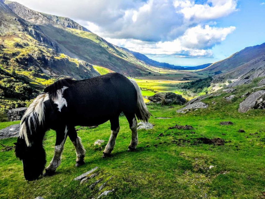 From Liverpool: North Wales Adventure Sightseeing Day Trip - Betws-y-Coed, the wooded village