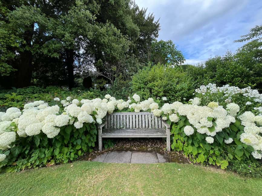 From London: Day Trip to Downton Abbey, Oxford and Bampton - What to bring and how to pace yourself