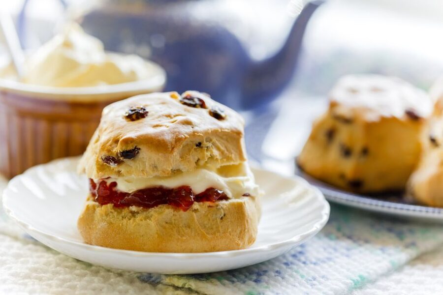 From London: Lake District Tour with Cream Tea & Cruise - Key points to know before booking