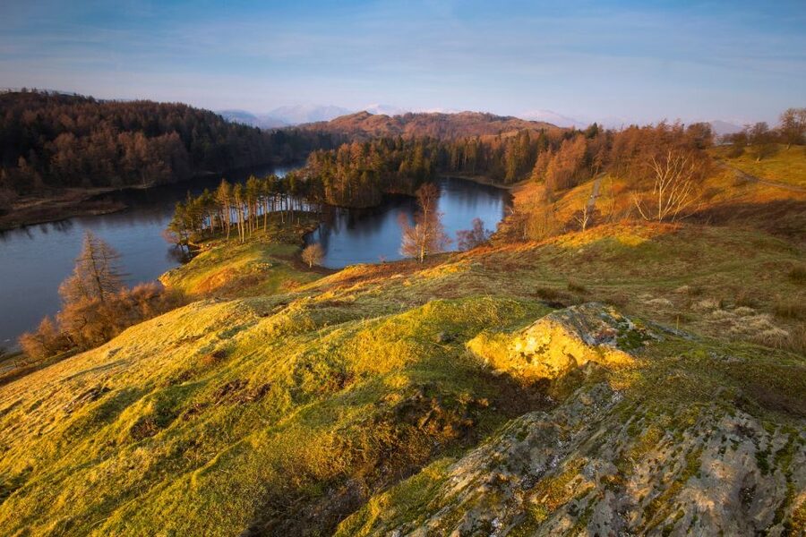 From London: Lake District Tour with Cream Tea & Cruise - Tarn Hows and Yewdale add the best road scenery
