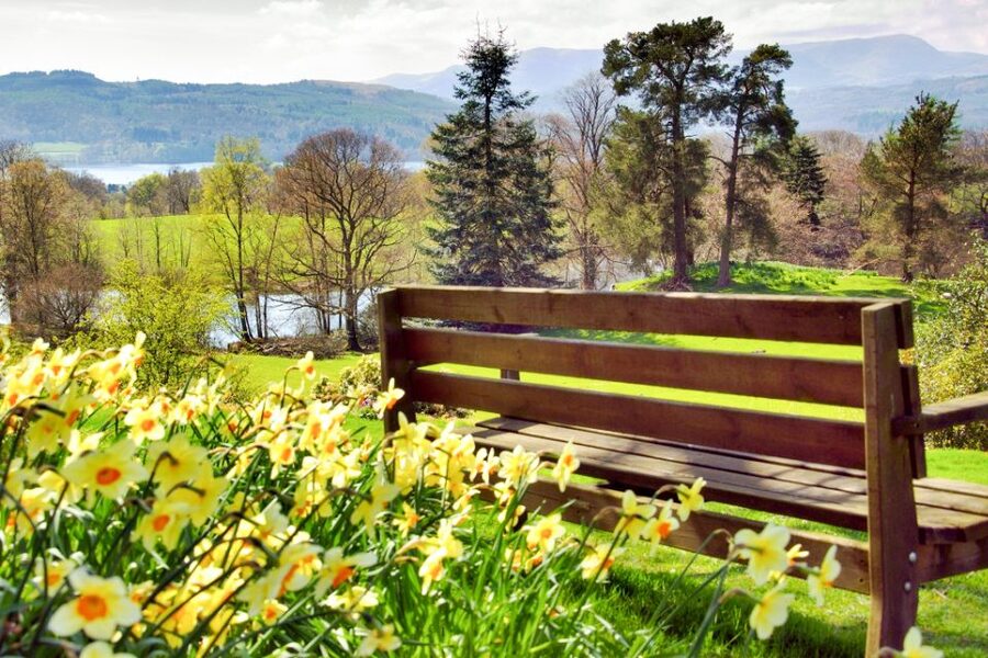 From London: Lake District Tour with Cream Tea & Cruise - The train makes the price easier to judge