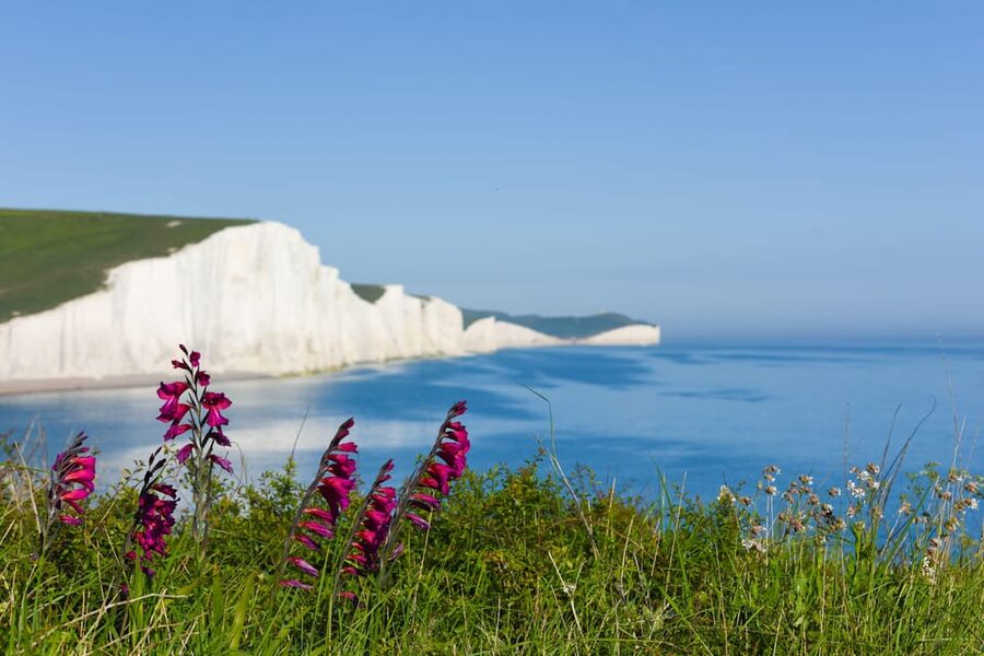 From London: Seven Sisters and Brighton Full-Day Tour - Meeting at London Bridge Station without a morning scramble