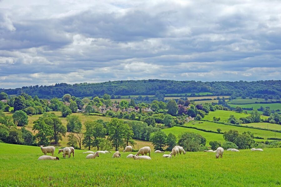 From London: Small Group Stonehenge, Bath & Cotswolds Tour - Bath: Roman origins and Georgian grandeur