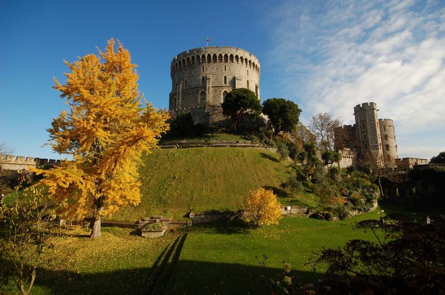 From London: Windsor, Stonehenge, & Salisbury Cathedral Trip - Salisbury Cathedral and the city market