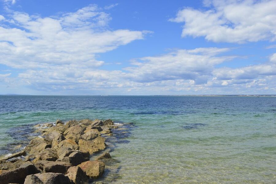 From Portsmouth: Isle of Wight Day Tour by Bus and Ferry - Who should book this tour?