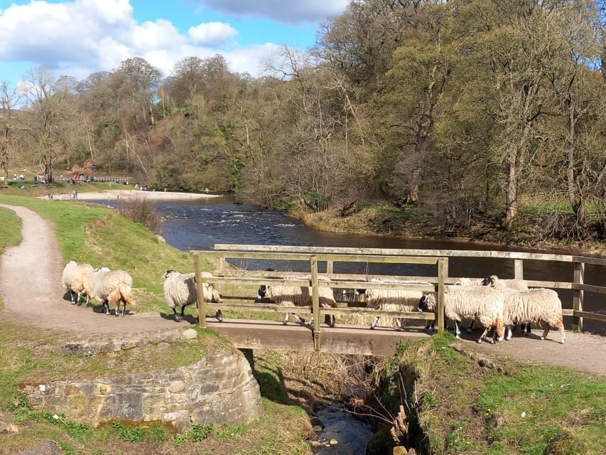 From York: Herriot and Yorkshire Dales Day Trip - Masham and the old market square