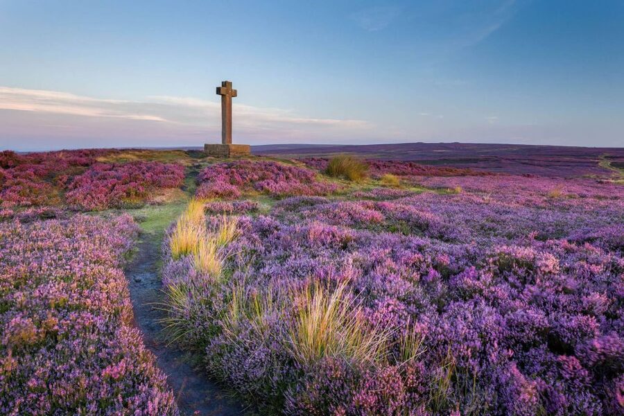 From York: Moors, Whitby, and the Yorkshire Steam Railway - Whitby, Dracula, and two and a half hours by the sea