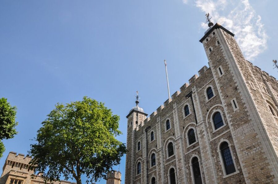 Full-Day London Experience: Tower, St. Pauls, Cruise & Guard - Who should book this London tour?