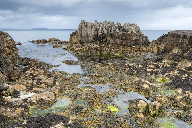 Game of Thrones and Giant's Causeway Full-Day Tour from Belfast - Carnlough Harbour and Arya’s escape