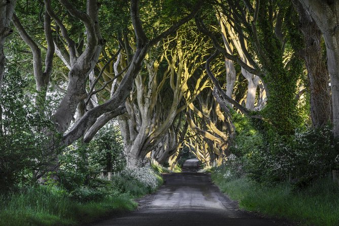 Game of Thrones and Giant's Causeway Full-Day Tour from Belfast - Carrickfergus Castle starts the coastal story