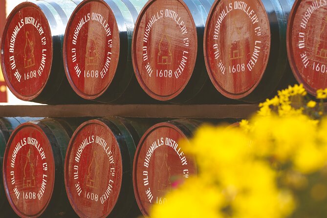 Giant's Causeway and Belfast City Murals Tour inc Game of Thrones Dark Hedges - Bushmills Distillery in 30 minutes