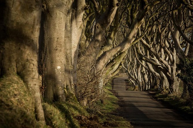 Giant's Causeway and more including Titanic Experience Ticket Tour from Belfast - Titanic Belfast: powerful, polished, and worth allowing time