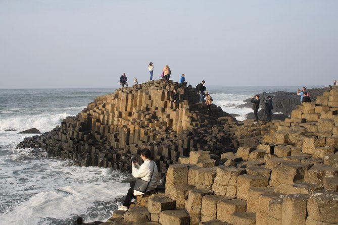 Giant's Causeway Day Tour and Belfast City Tour 1 Day Pass - The Dark Hedges, with time for a short walk