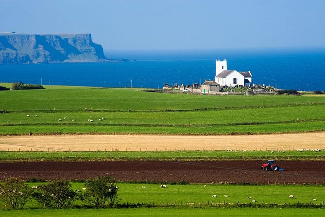 Giant's Causeway Full Day Tour from Belfast - The Giant’s Causeway: the day’s main event